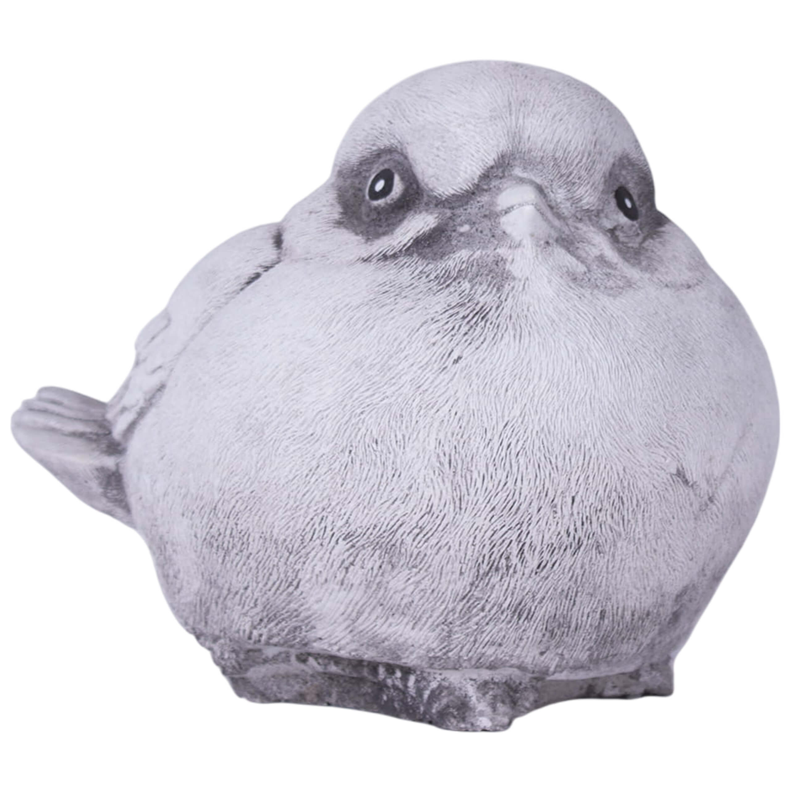 Plump Sparrow