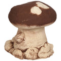 Porcini Mushroom with Ladybug