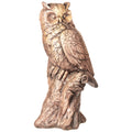 Wise Owl on Branch