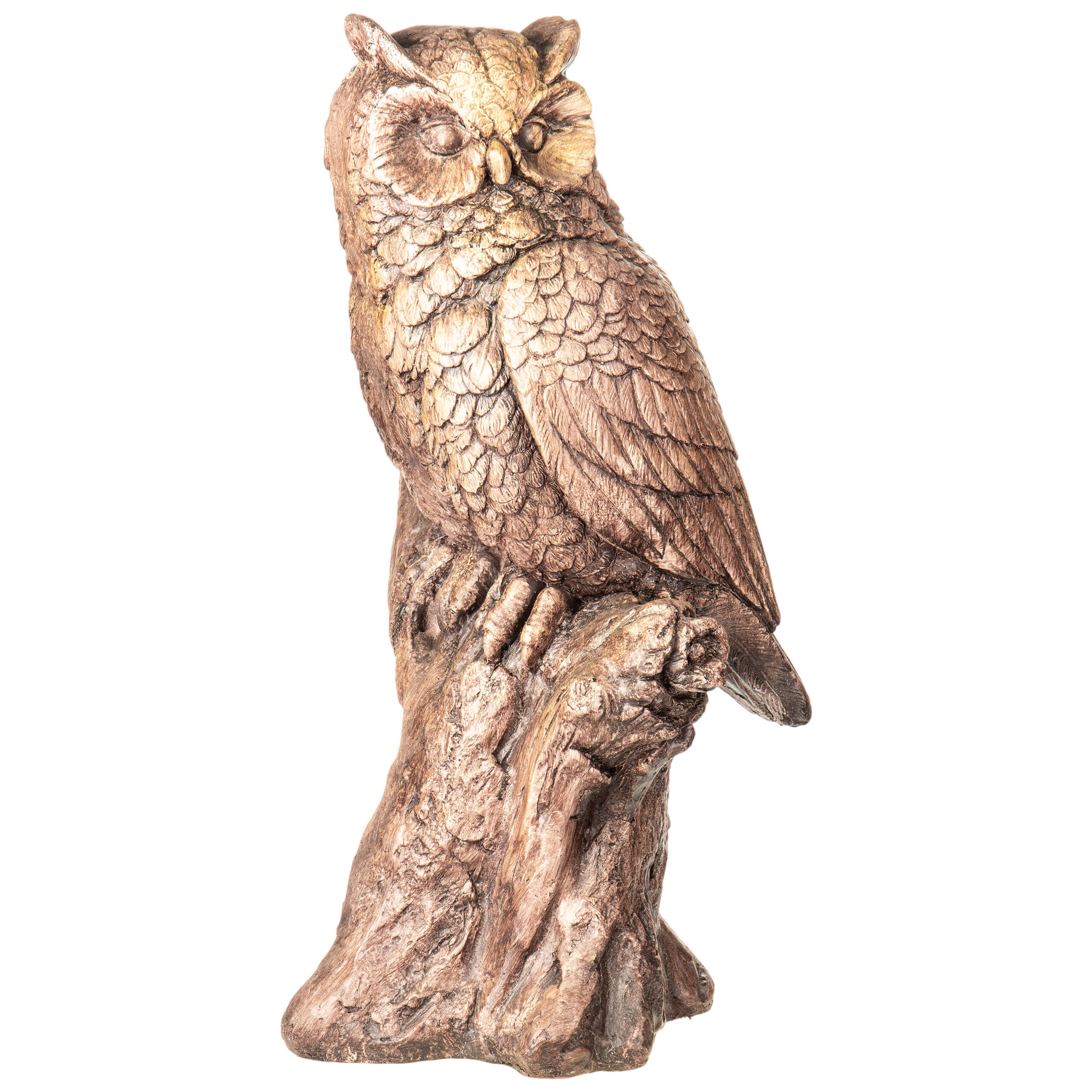 Wise Owl on Branch