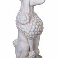 Royal Poodle