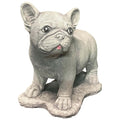 Standing French Bulldog