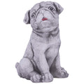 Garden Pug