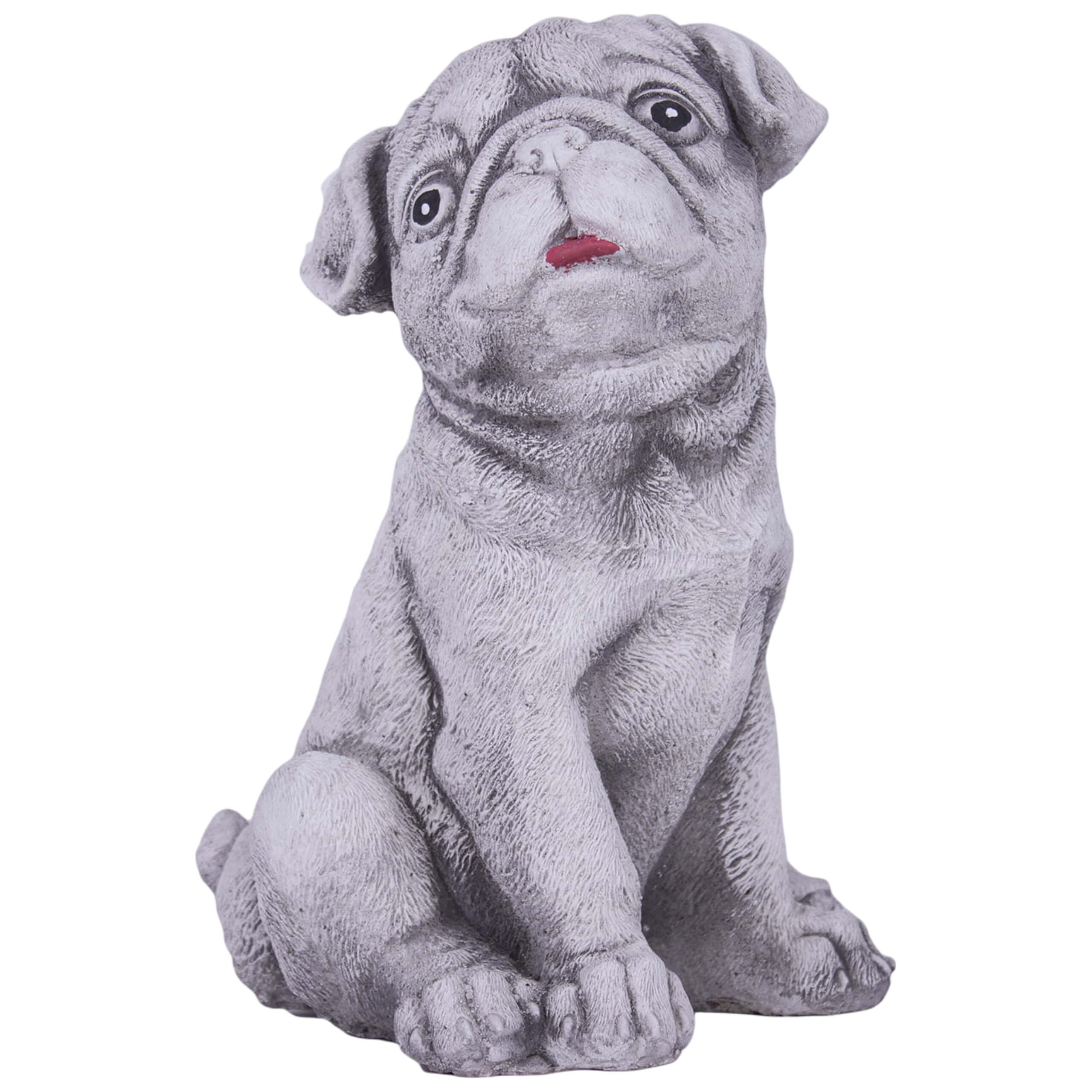 Garden Pug