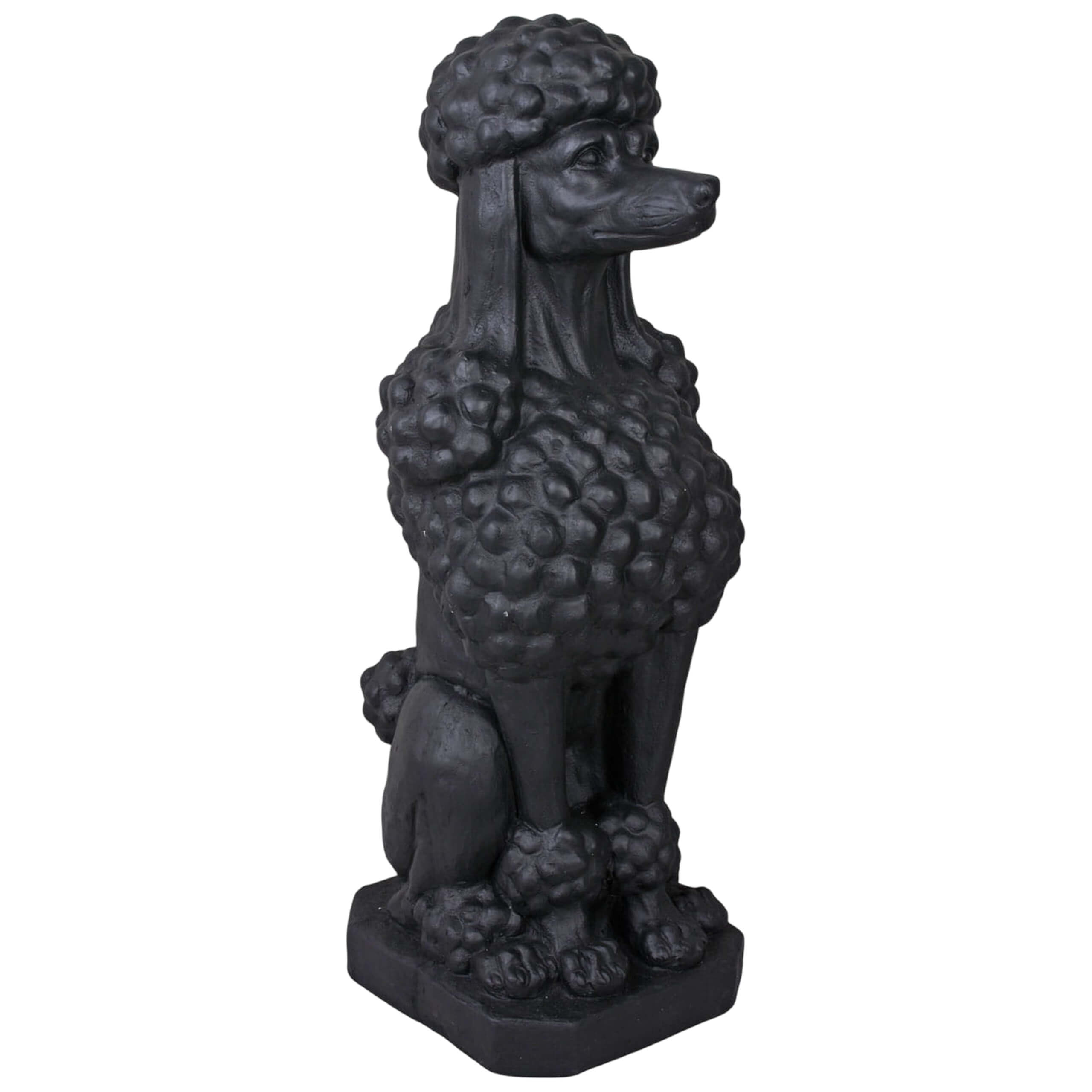 Black Royal Poodle