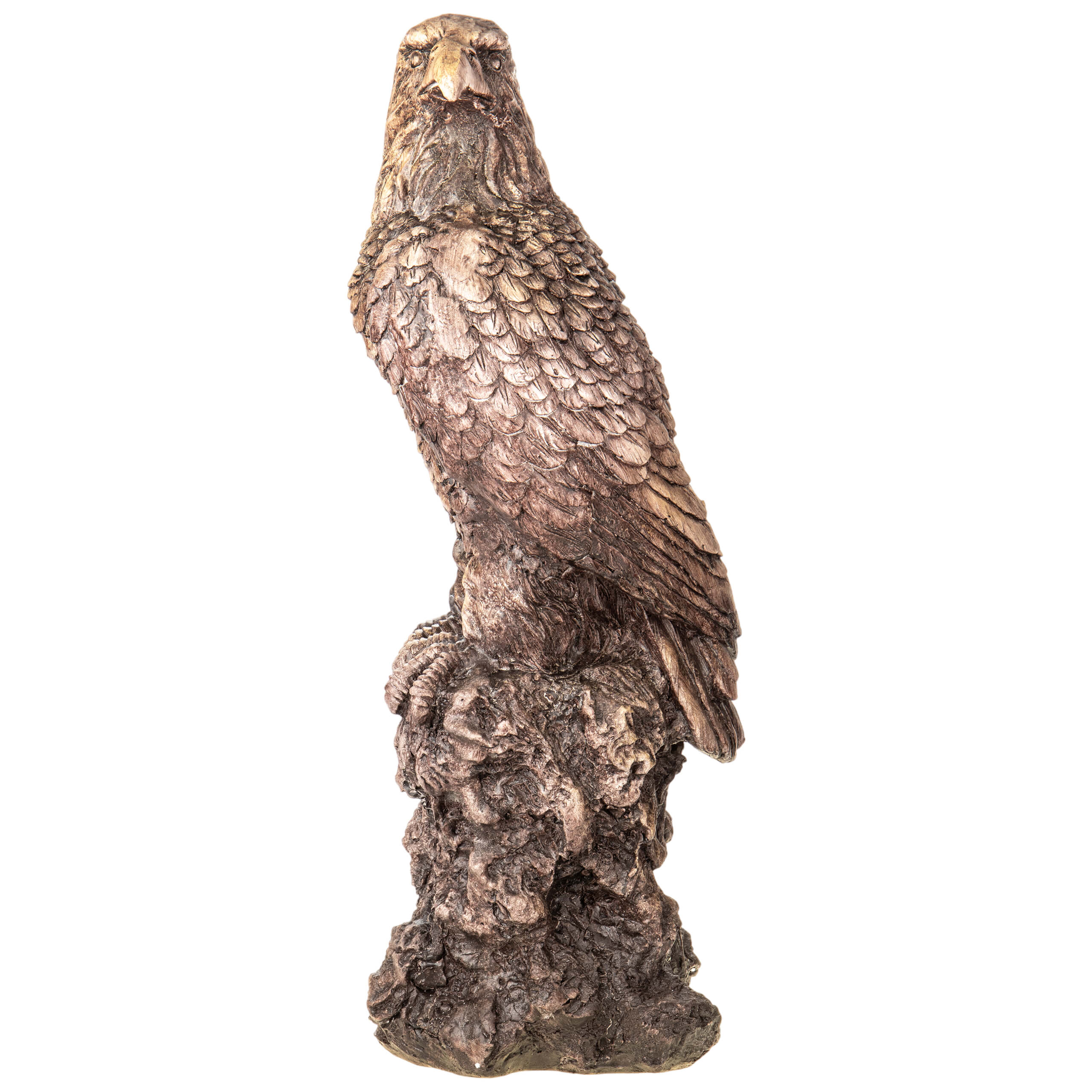 Majestic Eagle on Rock