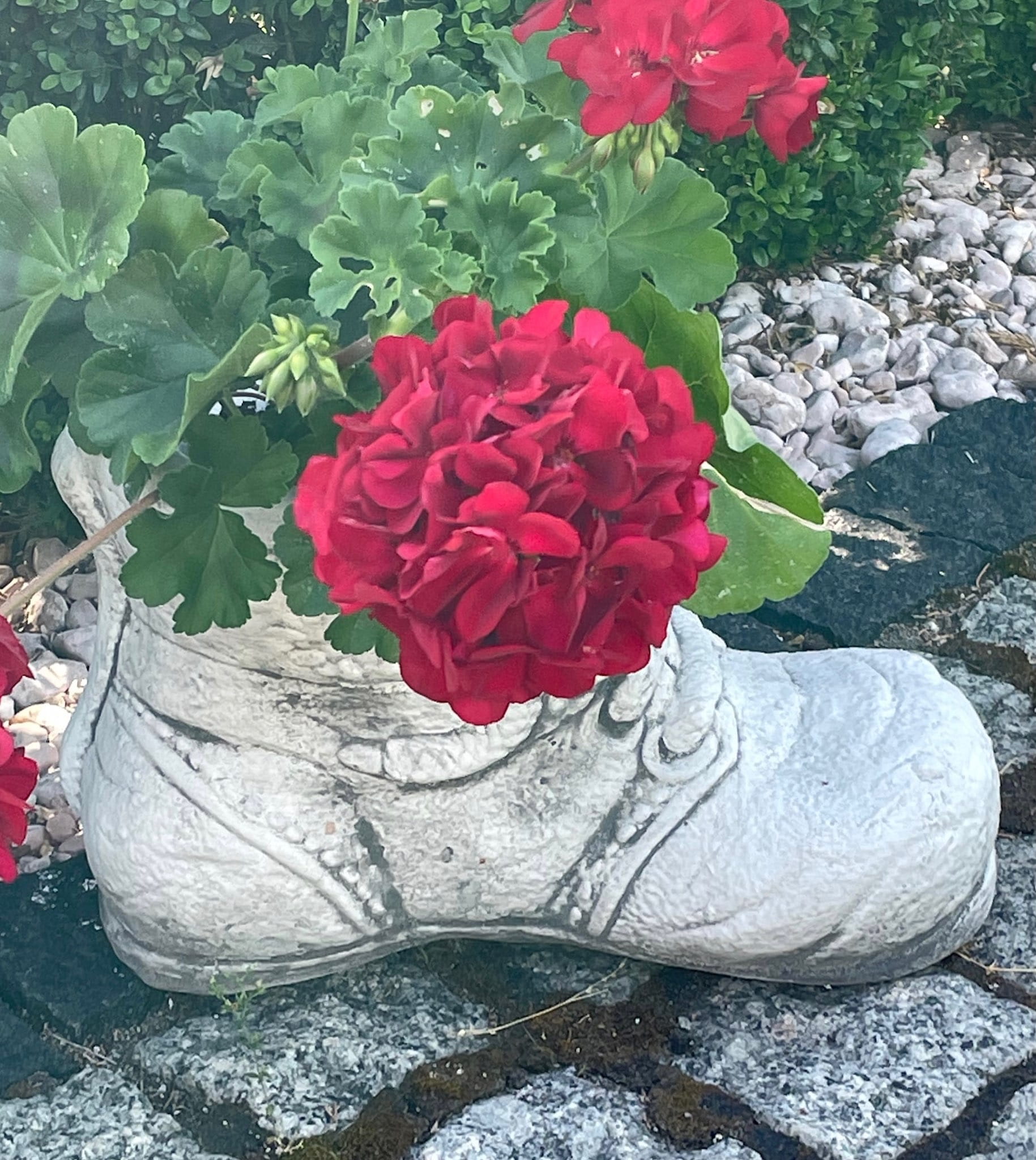 Classic Boot Shoe Planter