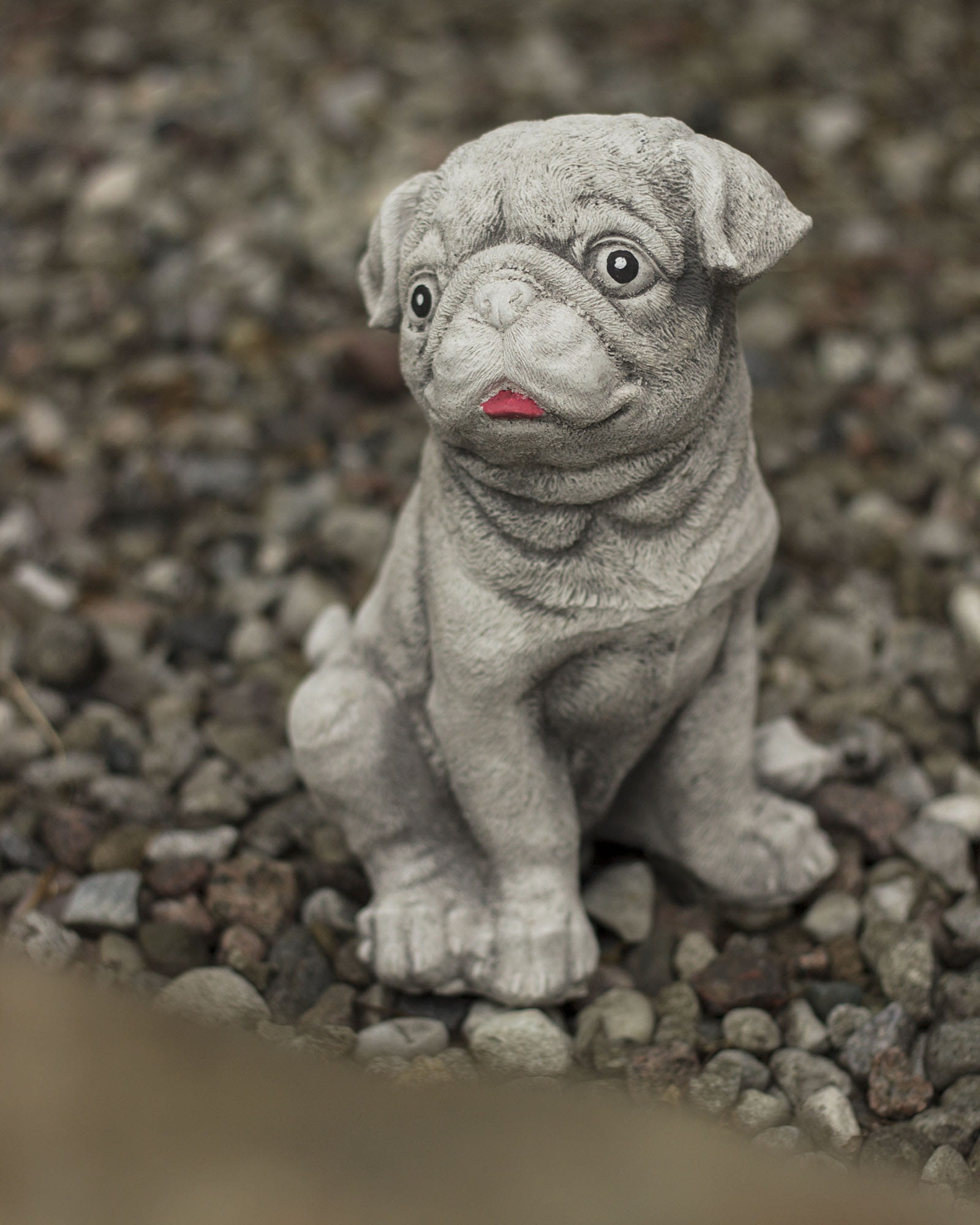Garden Pug