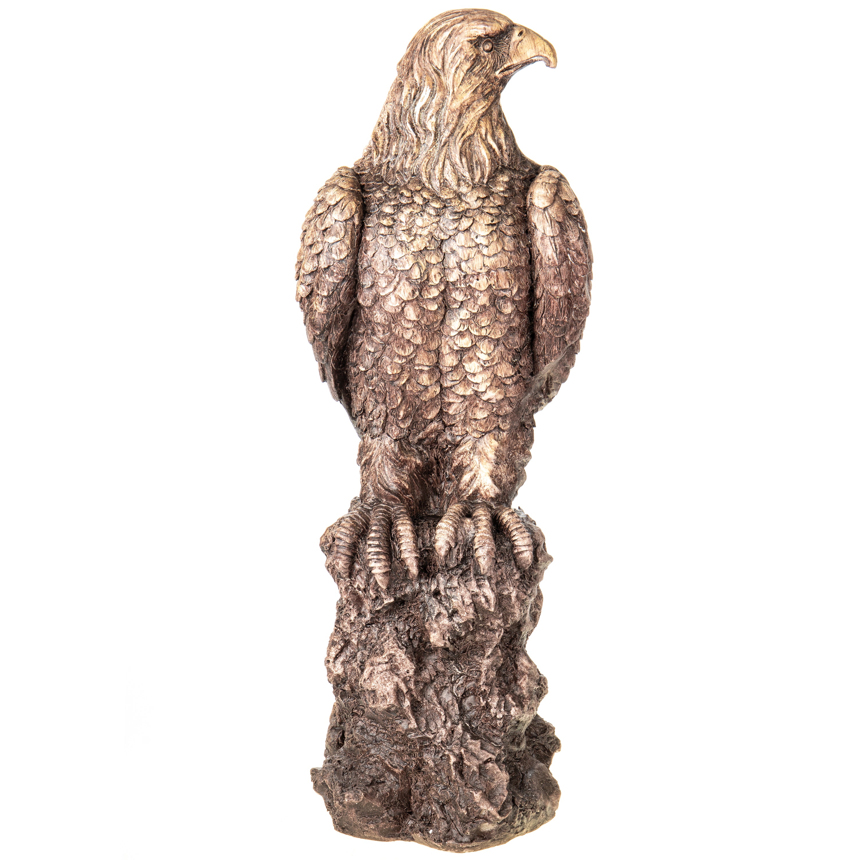 Majestic Eagle on Rock