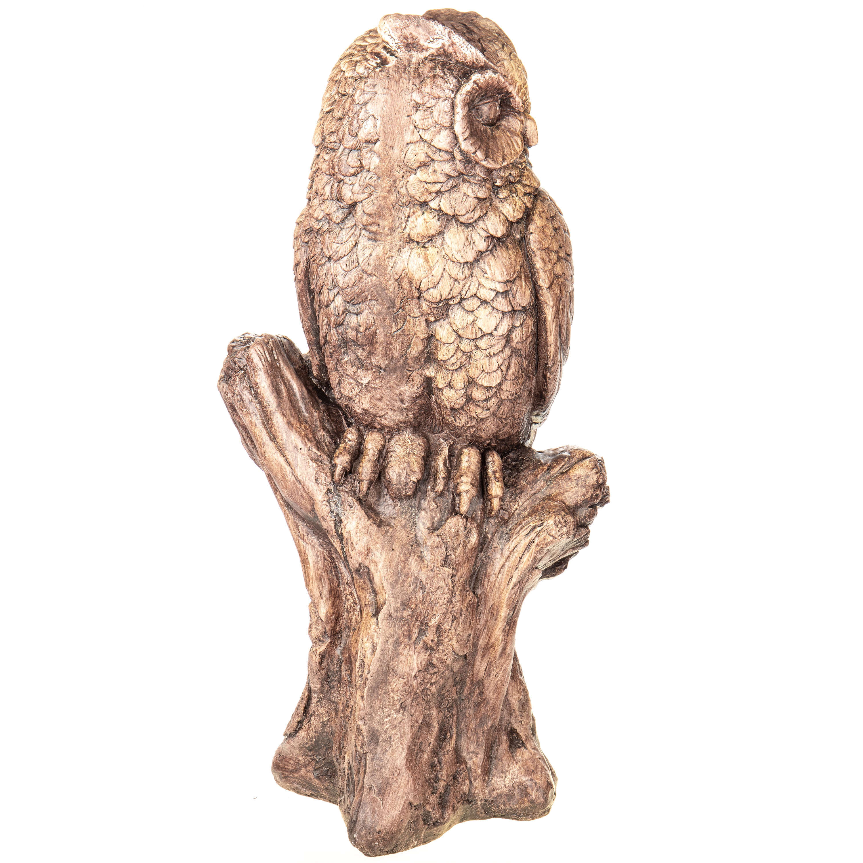 Wise Owl on Branch